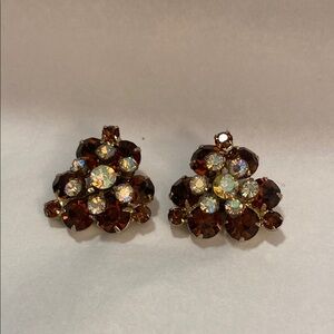 Elegant Brown 1960’s Crystal Earrings
